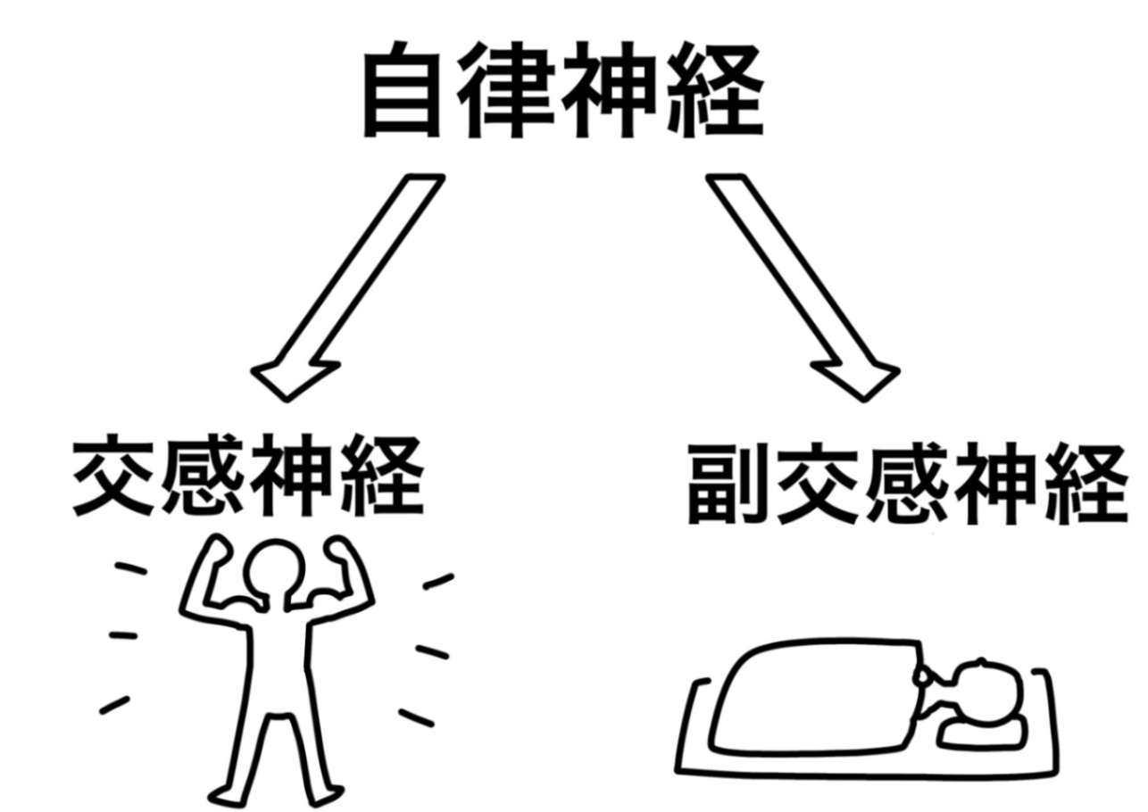 自律神経失調症に効果絶大！整体の魅力とは？