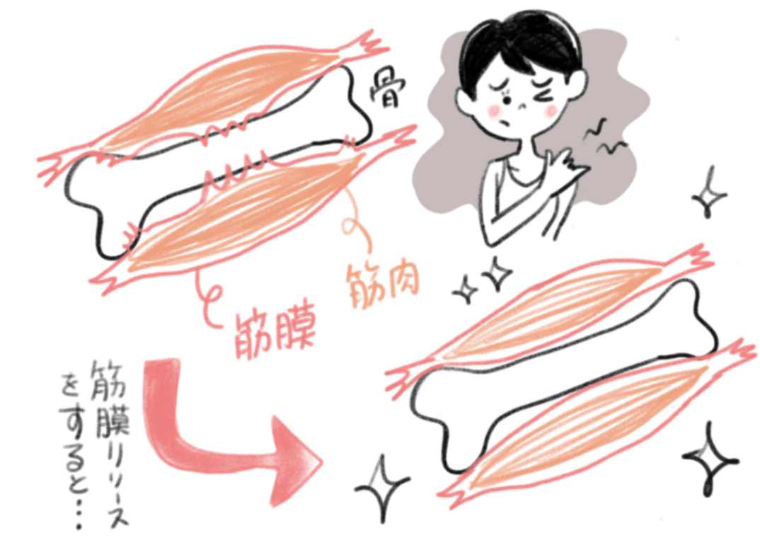 筋膜リリースと自律神経の関係